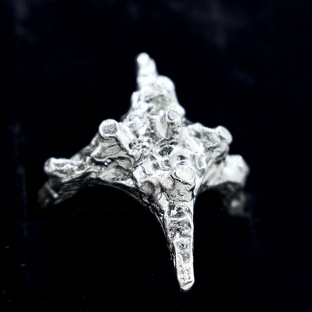 Star Ring.